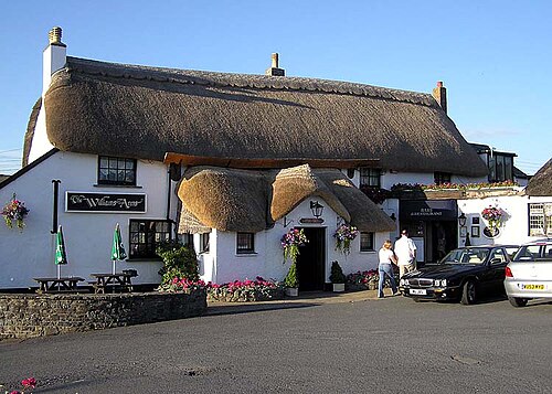 thatch