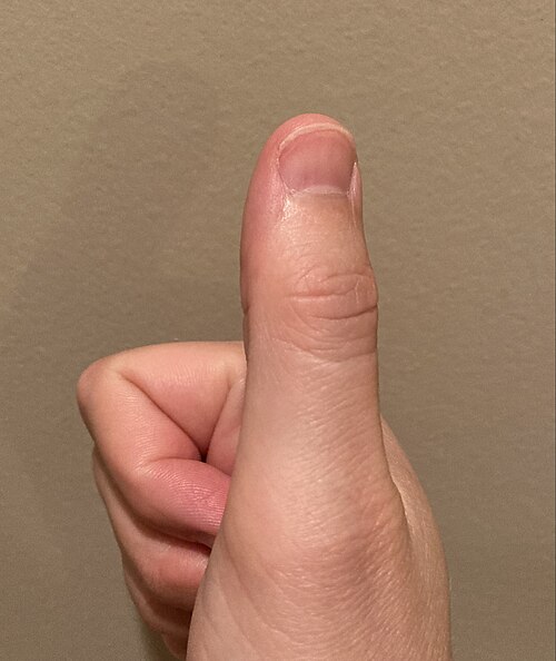 thumb