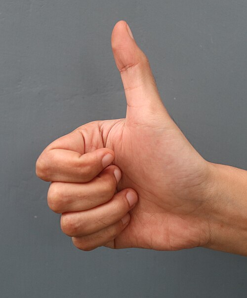 thumbs up