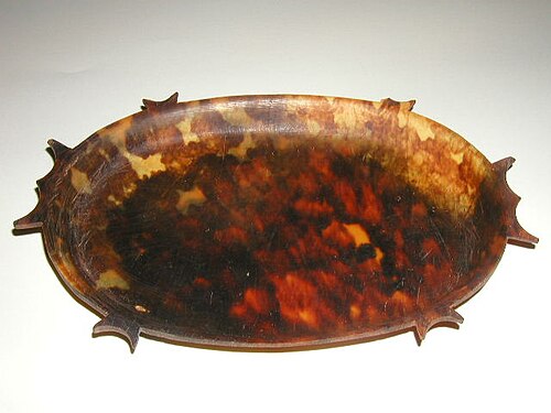 tortoiseshell