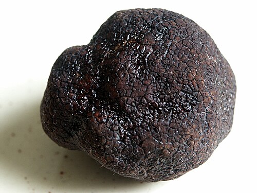 truffle