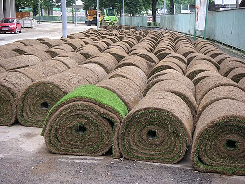 turf
