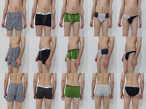 underpants