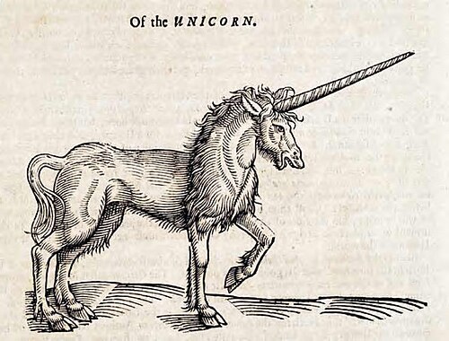 unicorn