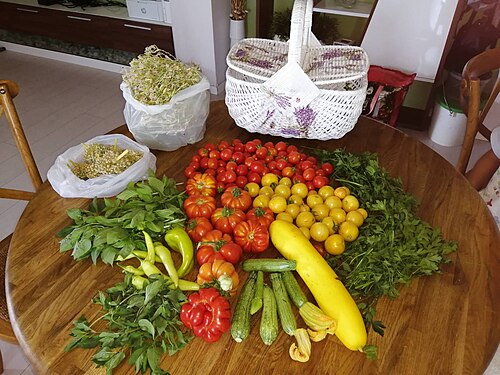 vegetable