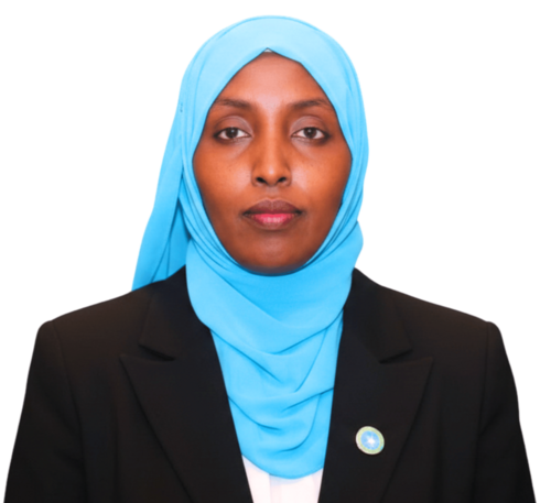 vice president
