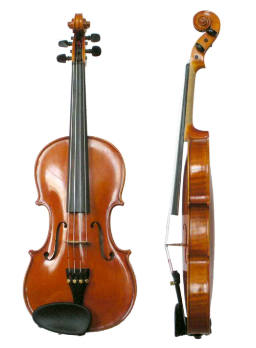 violin
