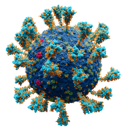 virus