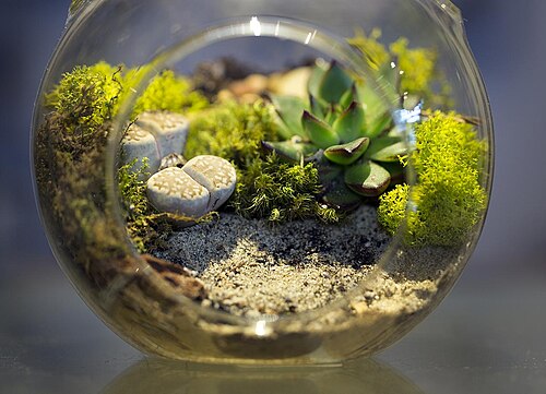 vivarium