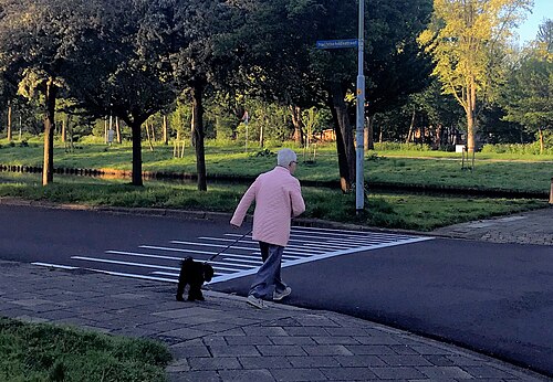 walkies