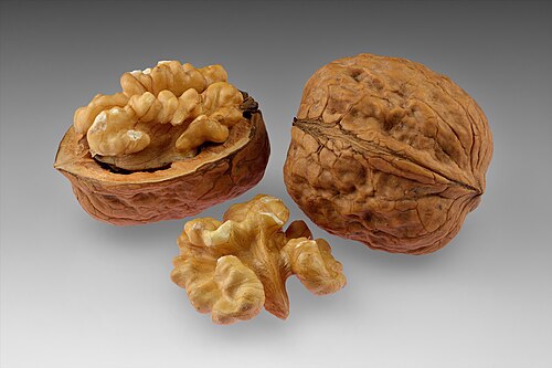 walnut