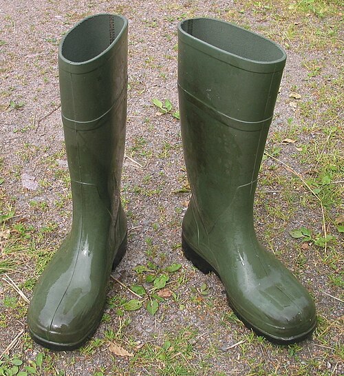 wellies