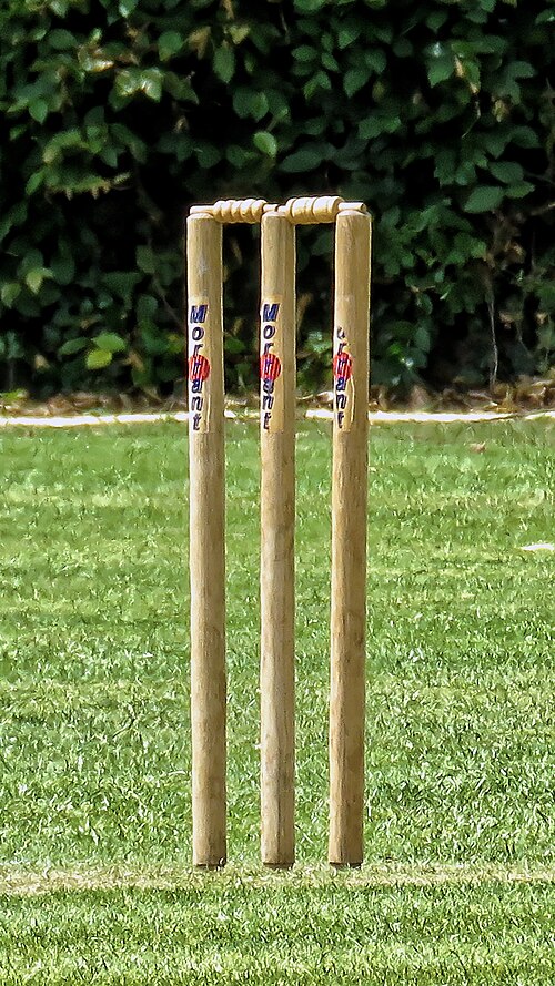 wicket