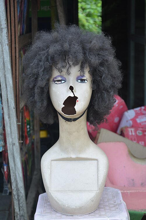 wig