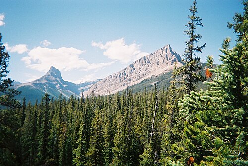 wilderness