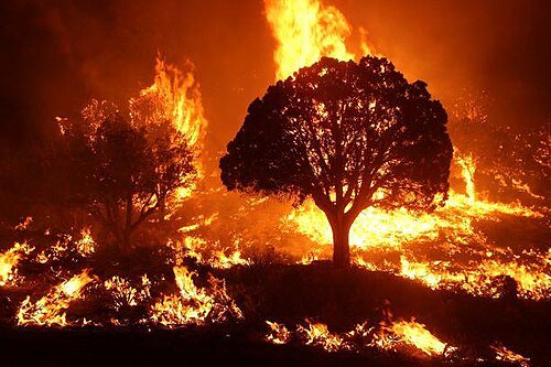 wildfire