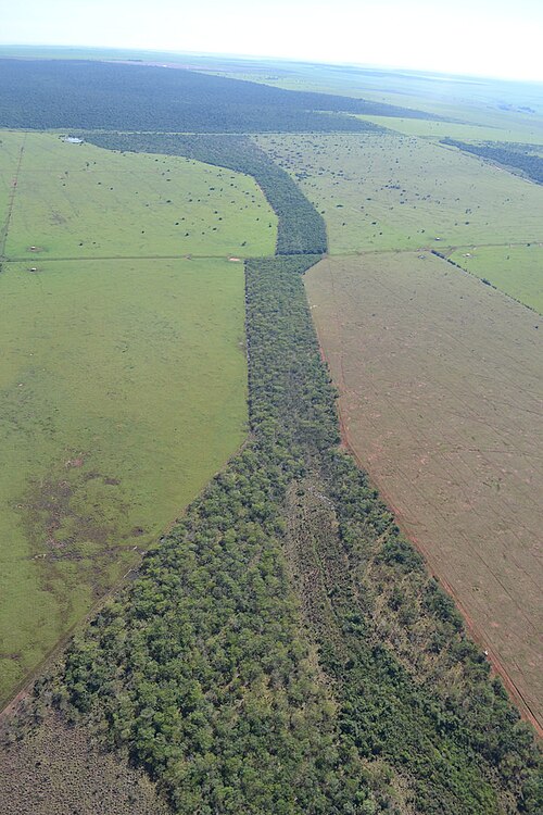 wildlife corridor