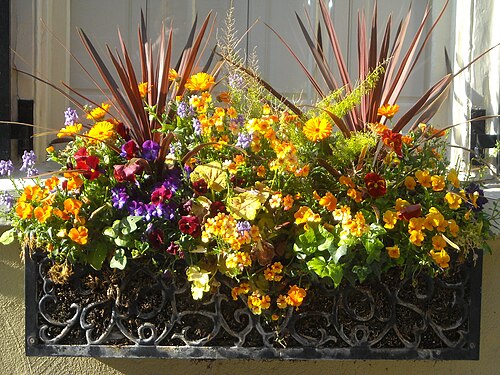 window box