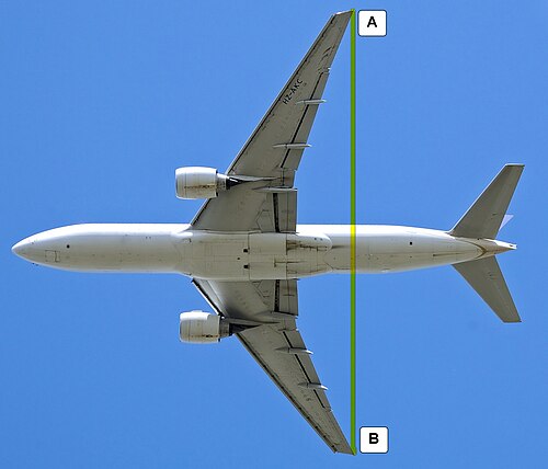 wingspan