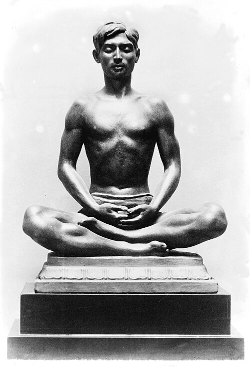 yogi