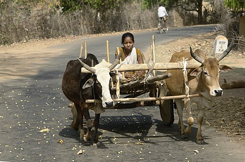 yoke